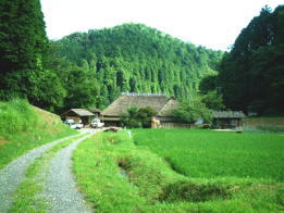田中姓の由来 田中姓の由来