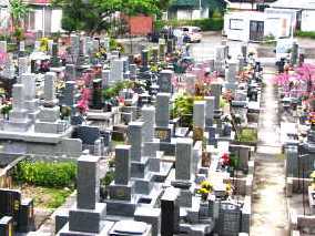 共同墓地 共同墓地
