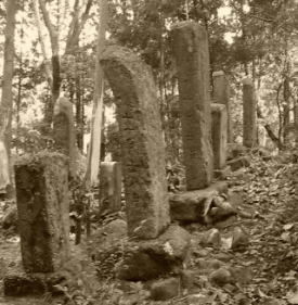 墓石調査 墓石調査